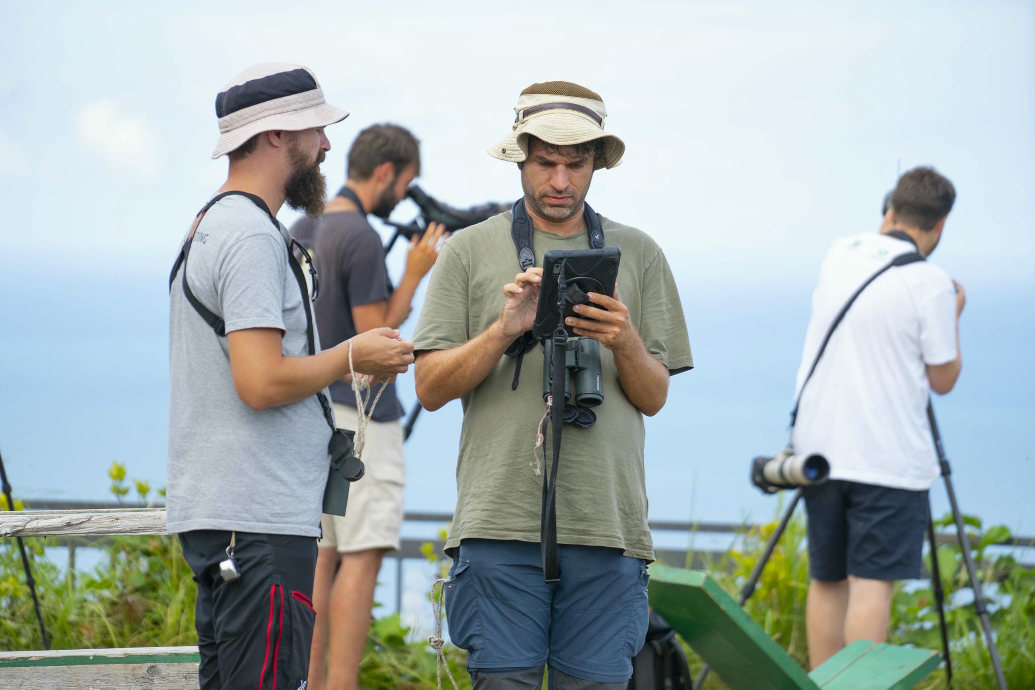 Batumibirdfest