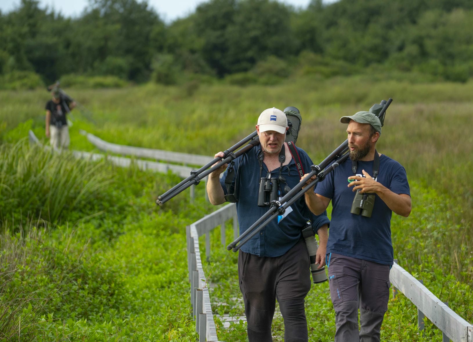 Batumibirdfest