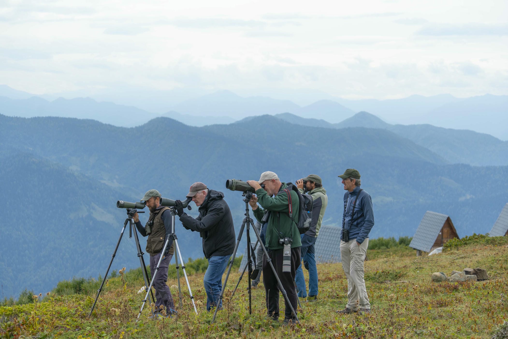 Batumibirdfest