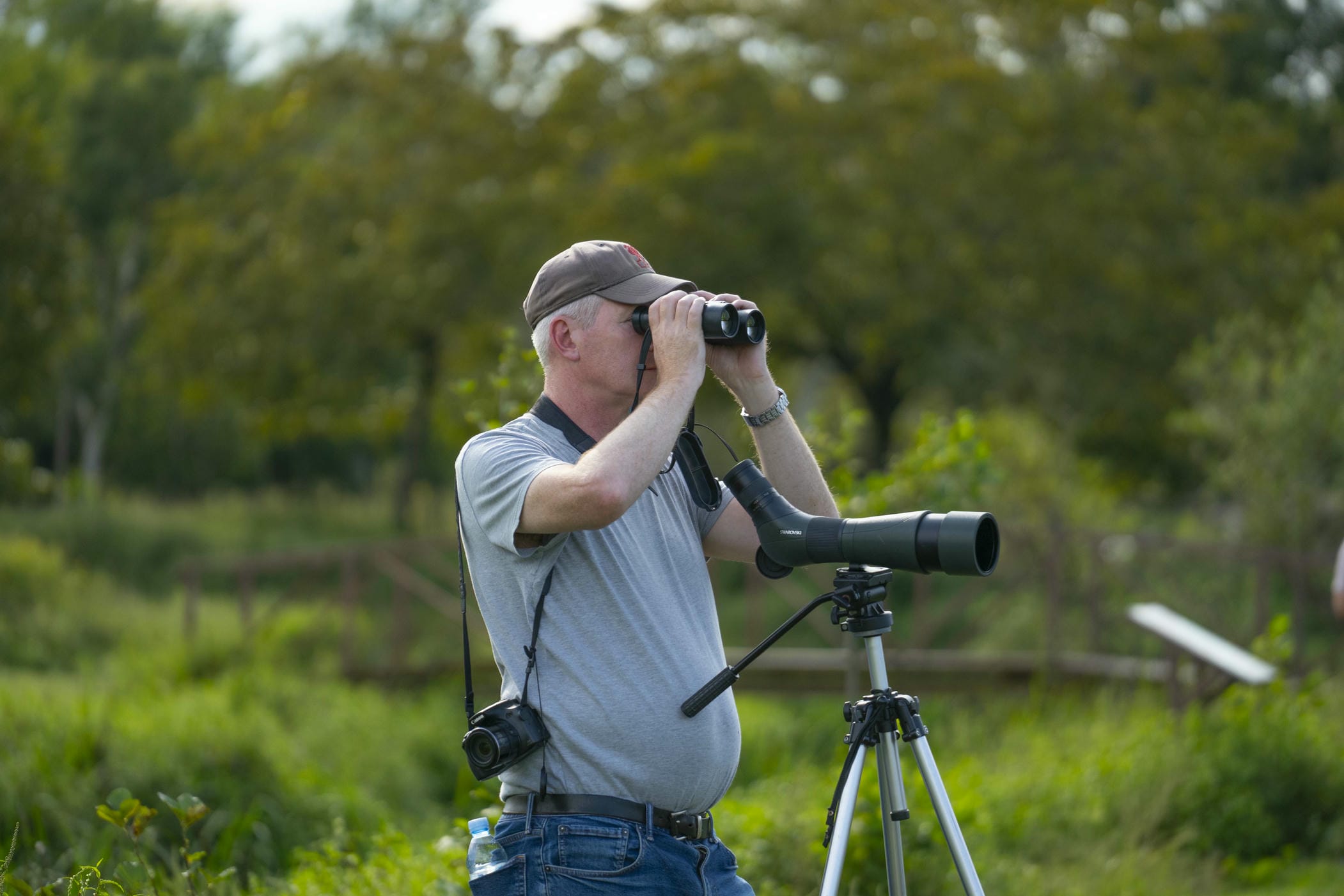 Batumibirdfest