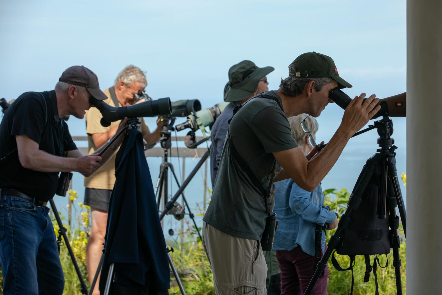 Batumibirdfest